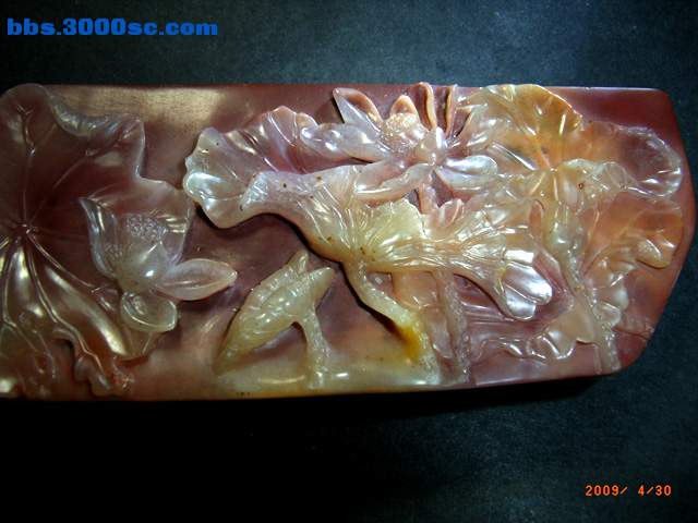RIMG4033 拷贝.jpg