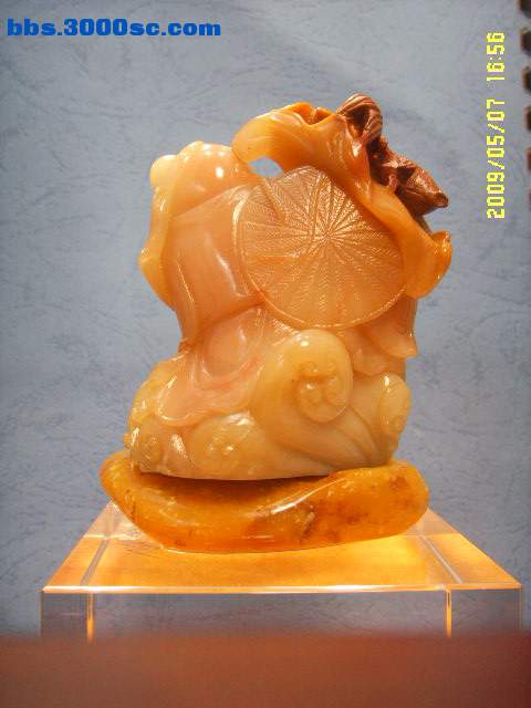 SSL13977.JPG