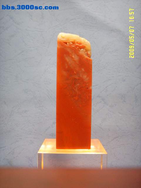 SSL13978.JPG
