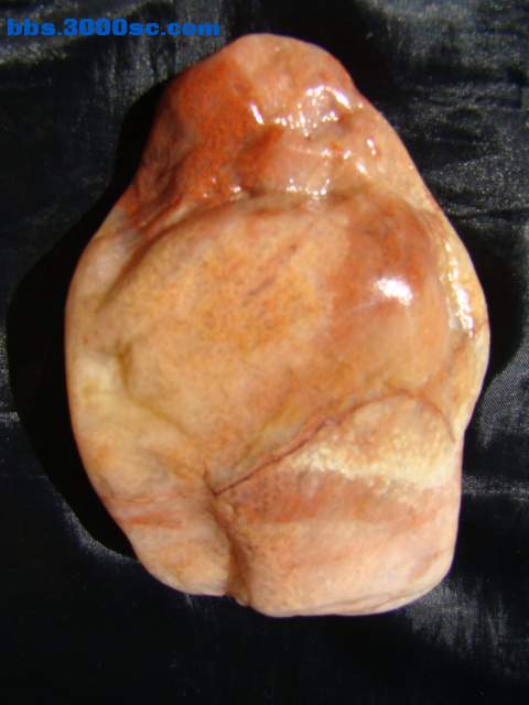 DSC03002.JPG