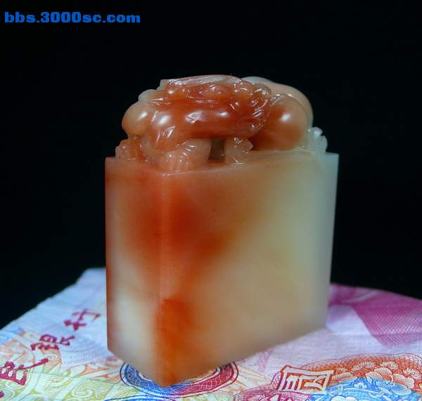 P1050468_调整大小.JPG