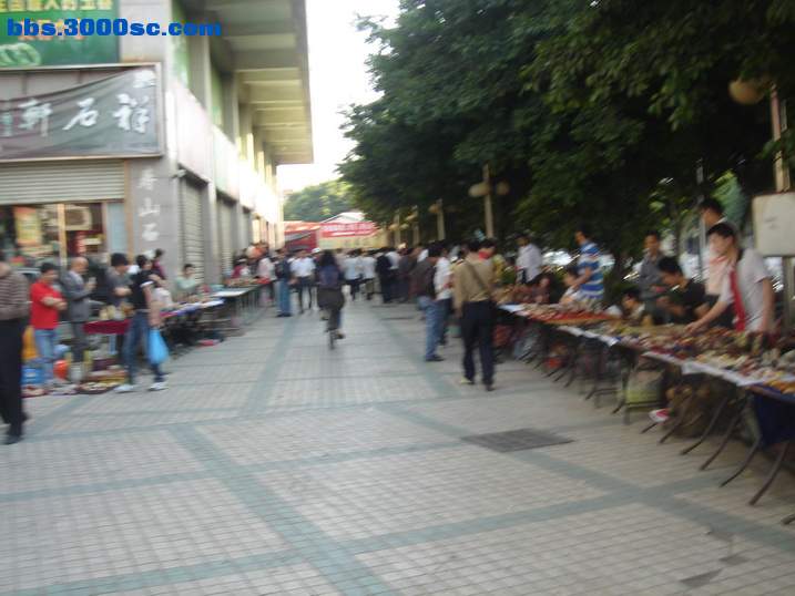 DSC05579_调整大小.JPG