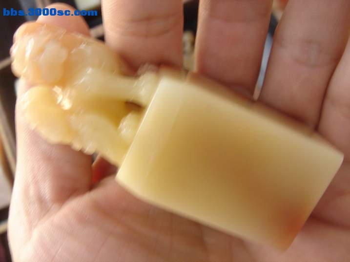 DSC05601_调整大小.JPG