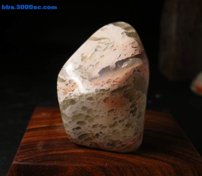 DSCF2571.jpg
