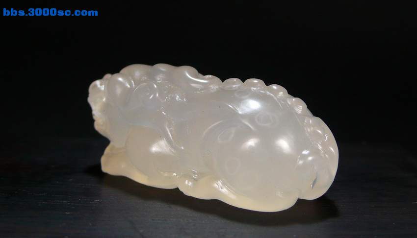 P1050484_调整大小.JPG