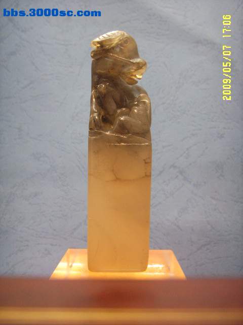 SSL13991.JPG