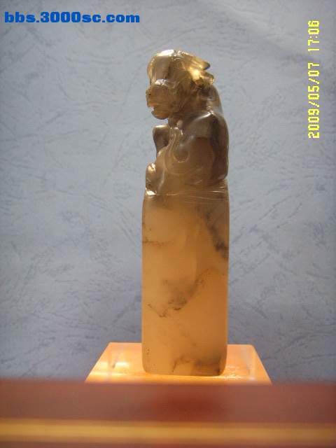 SSL13992.JPG