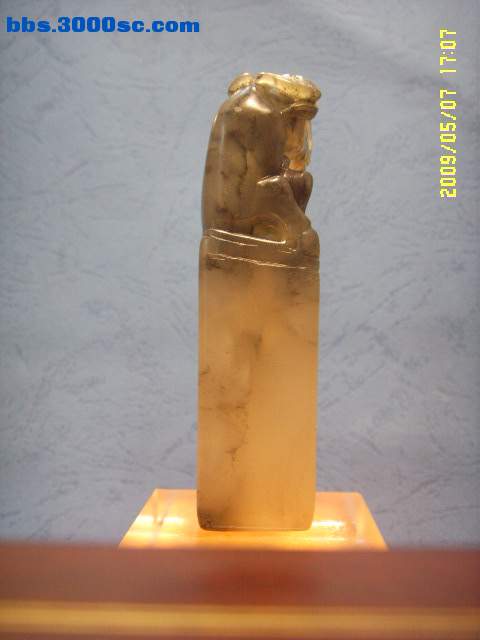 SSL13994.JPG