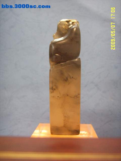 SSL13993.JPG