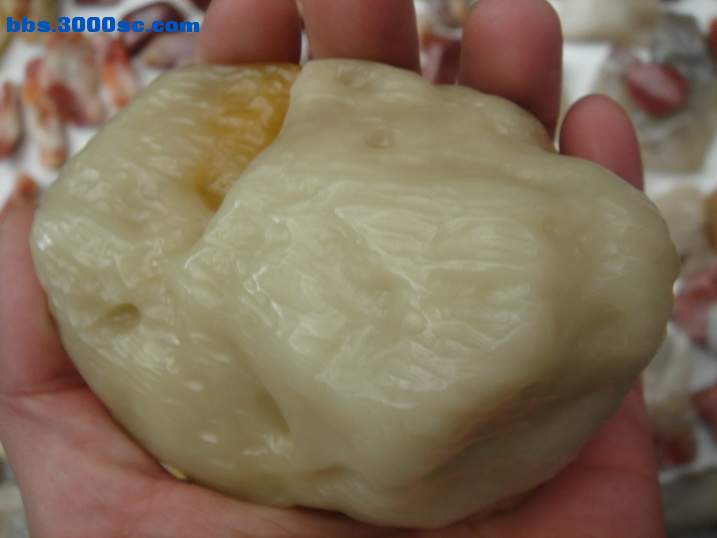 DSC05516_调整大小.JPG