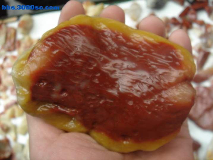 DSC05515_调整大小.JPG