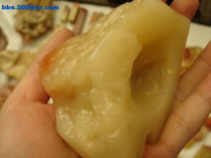 DSC05518_调整大小.JPG