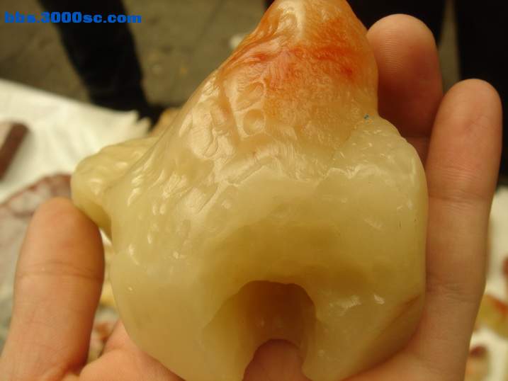 DSC05517_调整大小.JPG