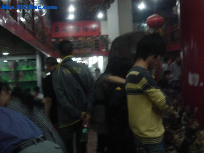 DSC05523_调整大小.JPG