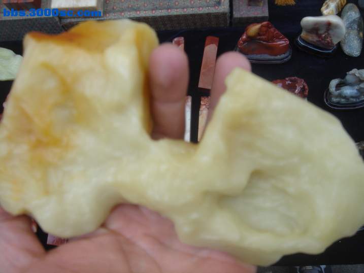 DSC05527_调整大小.JPG