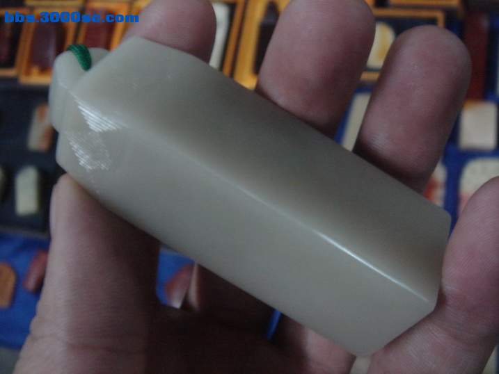 DSC05533_调整大小.JPG