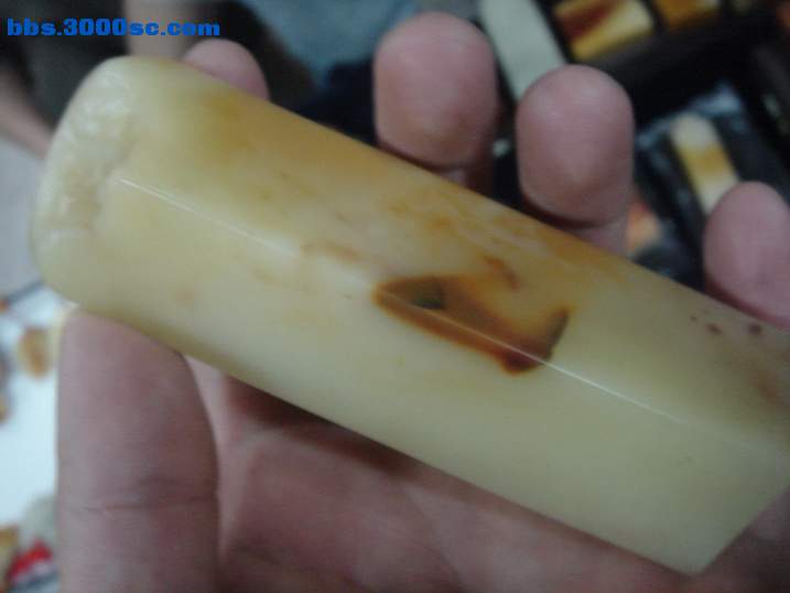 DSC05540_调整大小.JPG