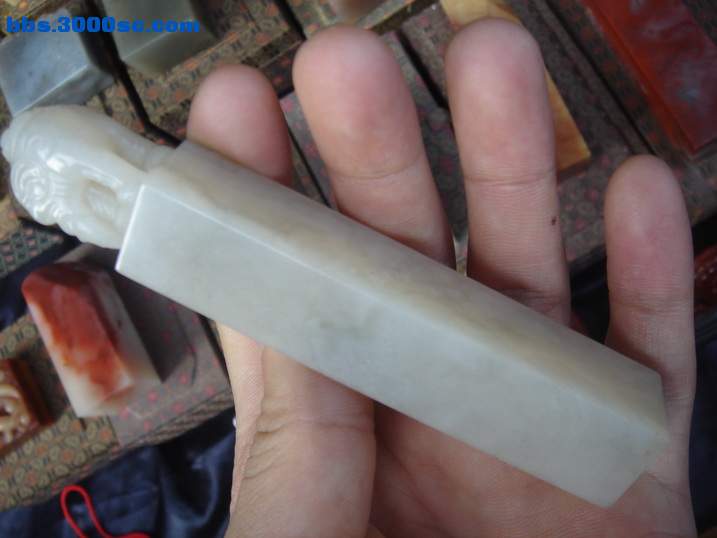 DSC05613_调整大小.JPG
