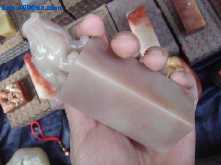 DSC05616_调整大小.JPG