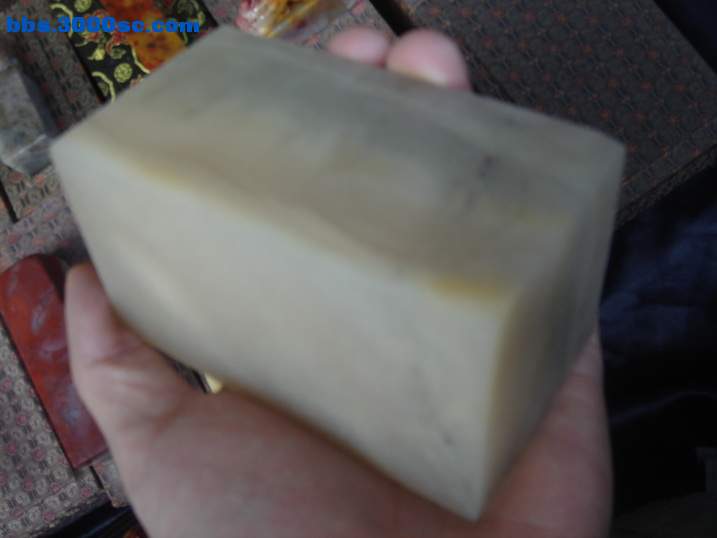 DSC05619_调整大小.JPG