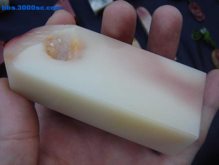 DSC05622_调整大小.JPG