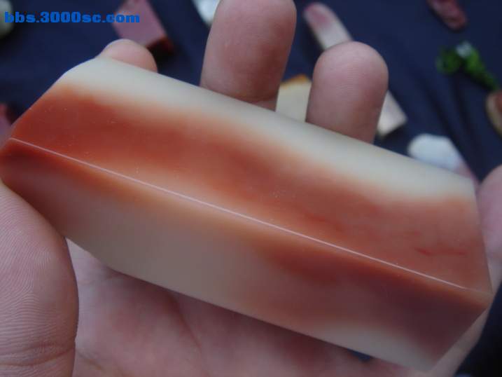 DSC05623_调整大小.JPG