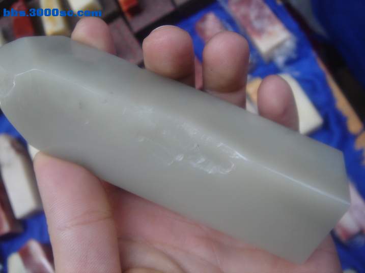 DSC05635_调整大小.JPG