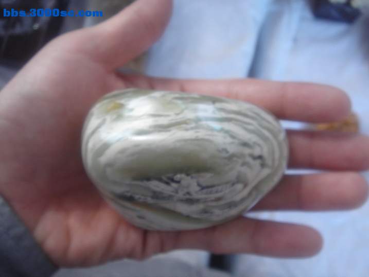 DSC05642_调整大小.JPG