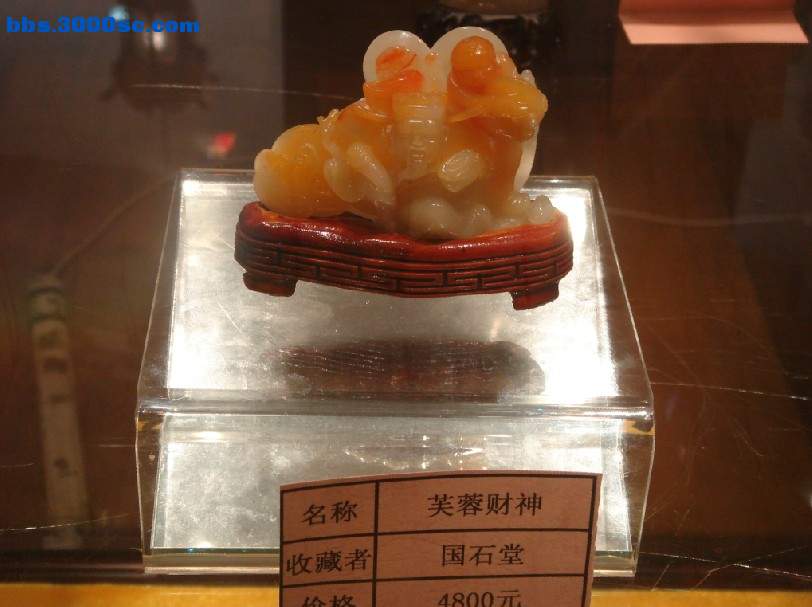 37.jpg