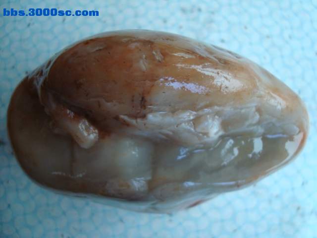 DSC03286.JPG