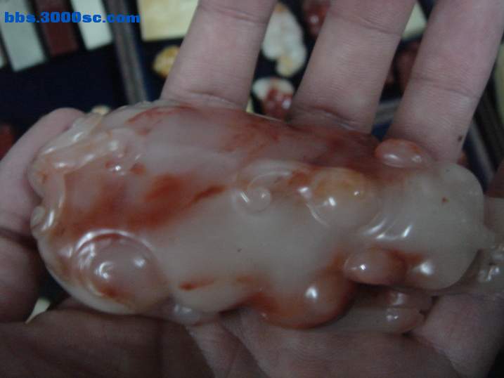 DSC05547_调整大小.JPG