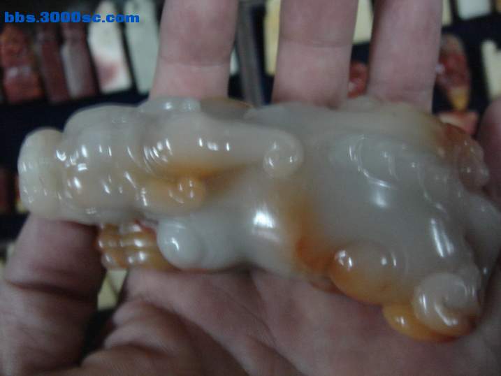DSC05549_调整大小.JPG