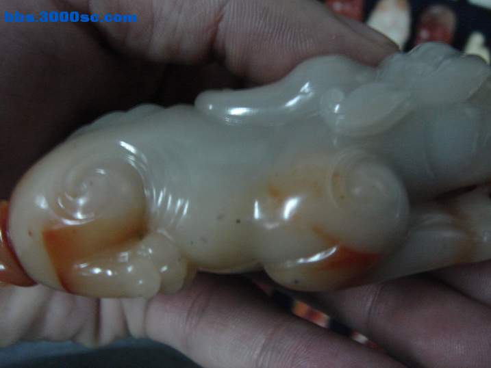 DSC05550_调整大小.JPG