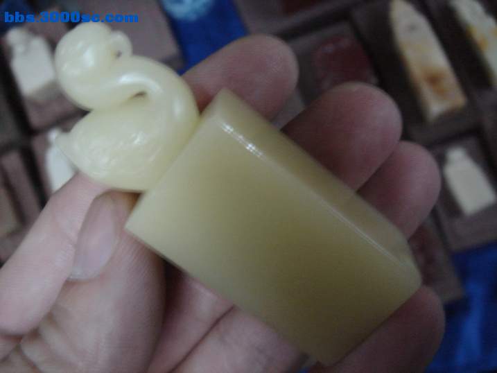 DSC05553_调整大小.JPG