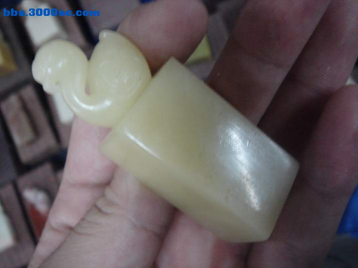 DSC05554_调整大小.JPG