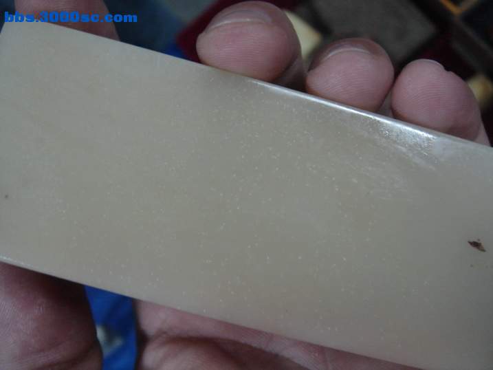 DSC05555_调整大小.JPG