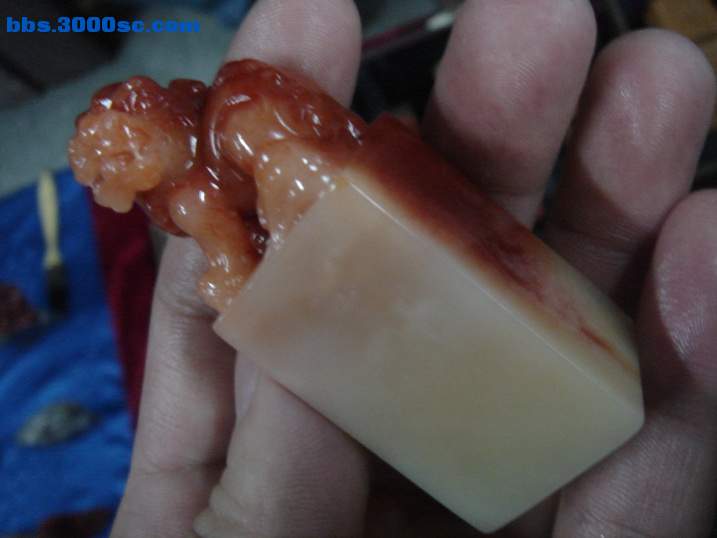 DSC05558_调整大小.JPG