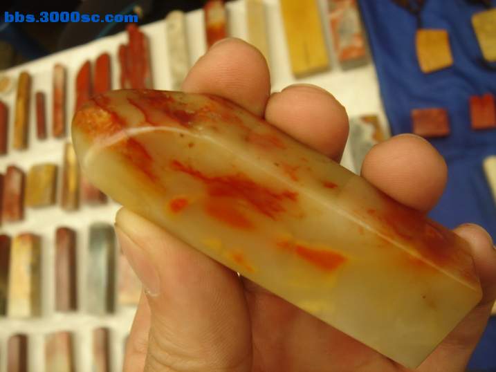 DSC05564_调整大小.JPG