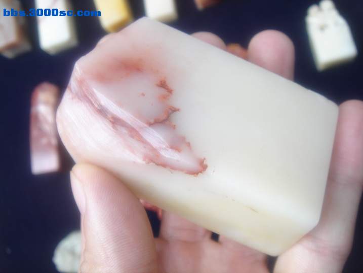DSC05653_调整大小.JPG