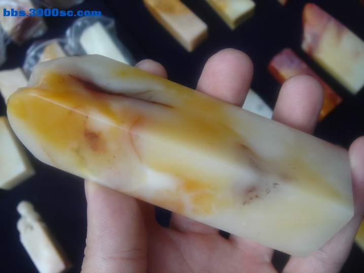 DSC05656_调整大小.JPG