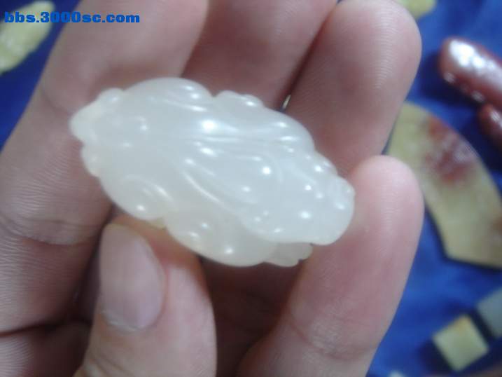 DSC05660_调整大小.JPG