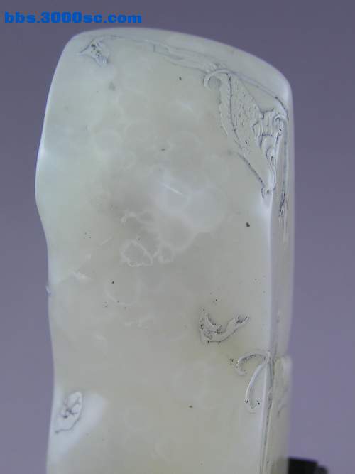 y11775.jpg