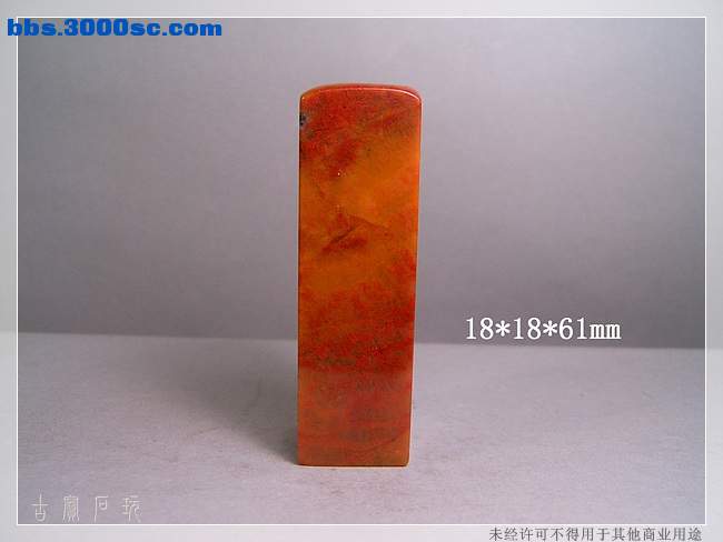 SUC33619.jpg