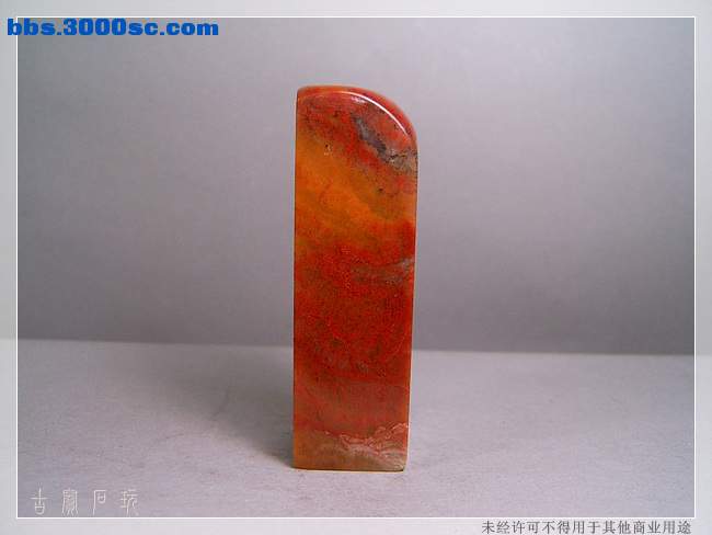 SUC33620.jpg