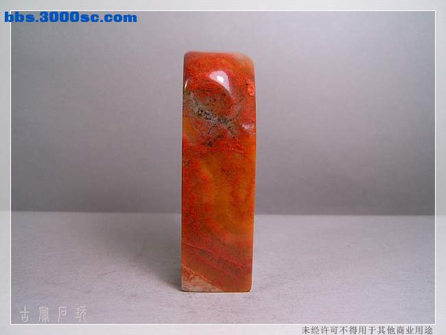 SUC33621.jpg
