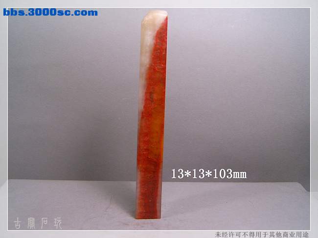 SUC33649.jpg