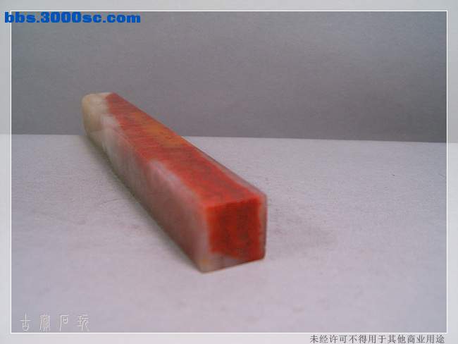 SUC33653.jpg