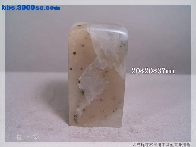 SUC33541.jpg