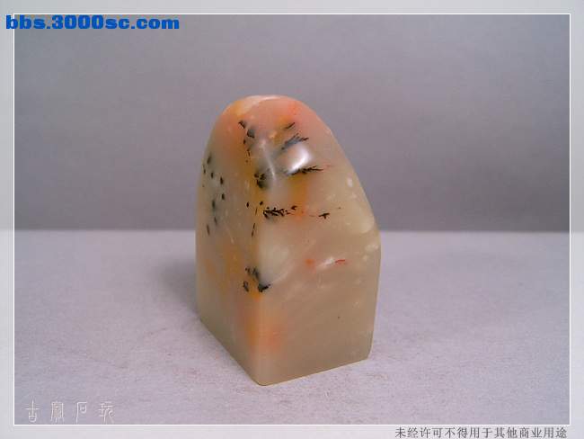 SUC33662.jpg