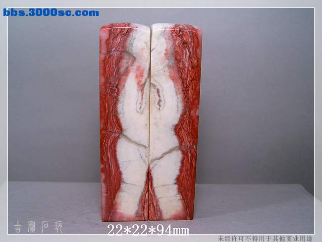 SUC34001.jpg